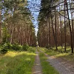 דירה Entschleunigen Im Fachwerkhaus Am Wald