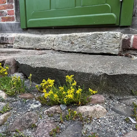 Lejlighed Entschleunigen Im Fachwerkhaus Am Wald