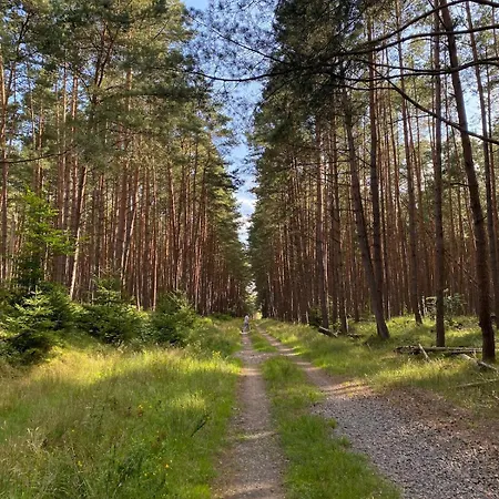 Апартаменты Entschleunigen Im Fachwerkhaus Am Wald